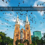 địa điểm tổ chức team building tại tphcm