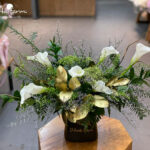 hoa khai trương lily