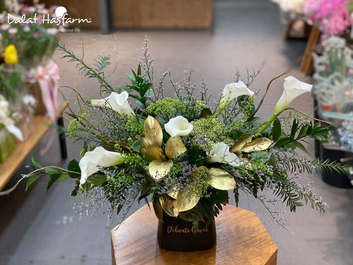 hoa khai trương lily
