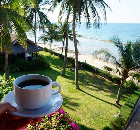 victoria phan thiết beach resort & spa