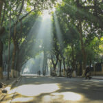 ăn chơi gì ở hà nội